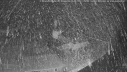 Mariazeller Bürgeralpe - Berggasthof