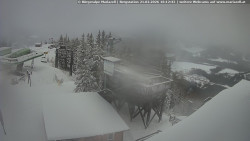 Mariazeller Bürgeralpe - Berggasthof