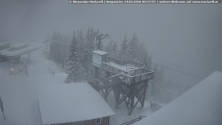 Mariazeller Bürgeralpe - Berggasthof