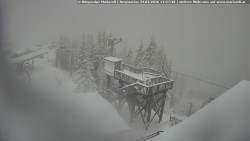 Mariazeller Bürgeralpe - Berggasthof