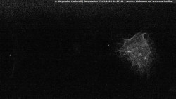 Mariazeller Bürgeralpe - Berggasthof