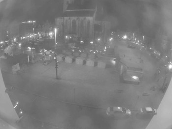 Snímek 11.11.2025 v 19:45