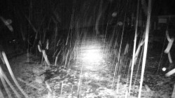 Nástupní stanice LD, Chata Vindoška