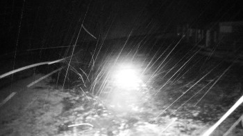 Snímek    2.11.2025 v 23:00