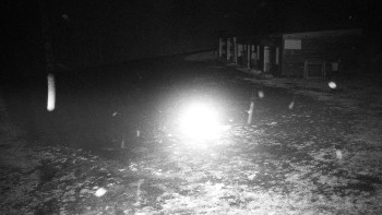 Snímek 8.11.2025 v 22:00