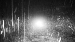 Nástupní stanice LD, Chata Vindoška