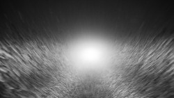 Nástupní stanice LD, Chata Vindoška