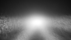 Nástupní stanice LD, Chata Vindoška