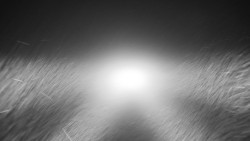 Nástupní stanice LD, Chata Vindoška