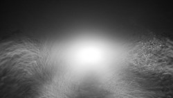 Nástupní stanice LD, Chata Vindoška