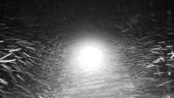 Nástupní stanice LD, Chata Vindoška