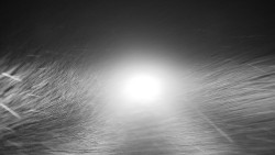 Nástupní stanice LD, Chata Vindoška