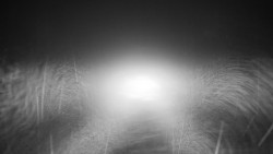 Nástupní stanice LD, Chata Vindoška