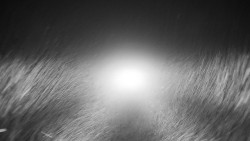 Nástupní stanice LD, Chata Vindoška