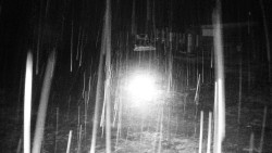 Nástupní stanice LD, Chata Vindoška