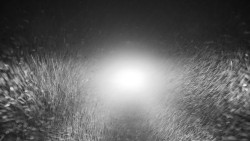 Nástupní stanice LD, Chata Vindoška