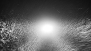 Snow park Paprsek - Nástupní stanice LD, Chata Vindoška - 15.12.2025 v 02:00 Snow park Paprsek - Nástupní stanice LD, Chata Vindoška - 15.12.2025 v 02:00