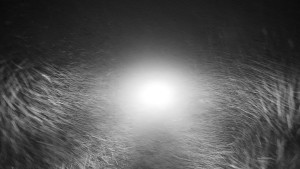 Snow park Paprsek - Nástupní stanice LD, Chata Vindoška - 15.12.2025 v 06:00 Snow park Paprsek - Nástupní stanice LD, Chata Vindoška - 15.12.2025 v 06:00