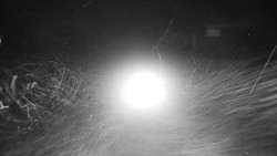 Nástupní stanice LD, Chata Vindoška