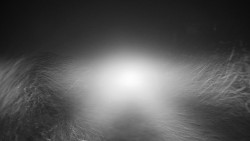 Nástupní stanice LD, Chata Vindoška