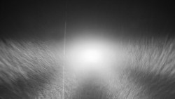 Nástupní stanice LD, Chata Vindoška