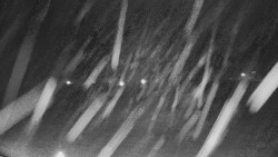 Rejvíz - Běžecké stopy