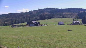 Rejvíz - Cross-country ski trails - Running routes, Férovka Chalet, Castle Hill - 15.9.2026 v 12:00 Rejvíz - Cross-country ski trails - Running routes, Férovka Chalet, Castle Hill - 15.9.2026 v 12:00
