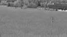 Rejvíz - Běžecké stopy - Rejvíz - Běžecké stopy - 5.6.2023 v 04:00