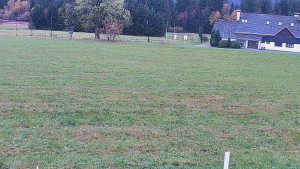 Rejvíz - Běžecké stopy - Rejvíz - Běžecké stopy - 24.10.2025 v 09:00 Rejvíz - Běžecké stopy - Rejvíz - Běžecké stopy - 24.10.2025 v 09:00