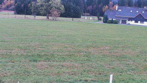 Rejvíz - Běžecké stopy - Rejvíz - Běžecké stopy - 24.10.2025 v 10:00 Rejvíz - Běžecké stopy - Rejvíz - Běžecké stopy - 24.10.2025 v 10:00