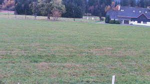 Rejvíz - Běžecké stopy - Rejvíz - Běžecké stopy - 24.10.2025 v 11:00 Rejvíz - Běžecké stopy - Rejvíz - Běžecké stopy - 24.10.2025 v 11:00