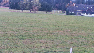 Rejvíz - Běžecké stopy - Rejvíz - Běžecké stopy - 24.10.2025 v 13:00 Rejvíz - Běžecké stopy - Rejvíz - Běžecké stopy - 24.10.2025 v 13:00