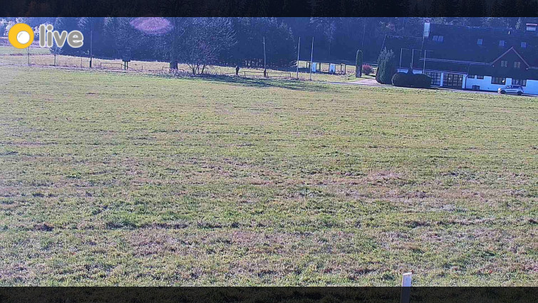 Rejvíz - Běžecké stopy - Rejvíz - Běžecké stopy - 1.11.2025 v 10:00 Rejvíz - Běžecké stopy - Rejvíz - Běžecké stopy - 1.11.2025 v 10:00