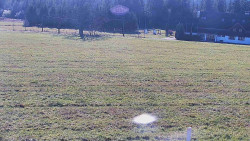 Rejvíz - Běžecké stopy