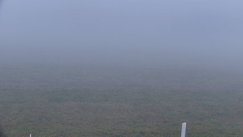 Snímek 15.11.2025 v 16:00