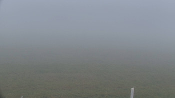 Snímek 17.11.2025 v 08:00