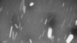 Rejvíz - Běžecké stopy