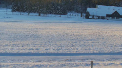 Rejvíz - Běžecké stopy