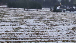 Rejvíz - Běžecké stopy