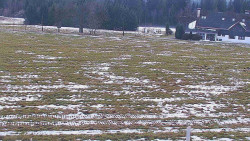 Rejvíz - Běžecké stopy