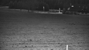 Rejvíz - Běžecké stopy - Rejvíz - Běžecké stopy - 7.12.2025 v 01:00 Rejvíz - Běžecké stopy - Rejvíz - Běžecké stopy - 7.12.2025 v 01:00