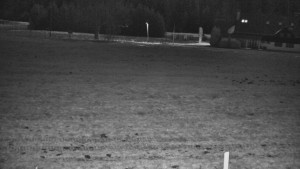 Rejvíz - Běžecké stopy - Rejvíz - Běžecké stopy - 7.12.2025 v 04:00 Rejvíz - Běžecké stopy - Rejvíz - Běžecké stopy - 7.12.2025 v 04:00