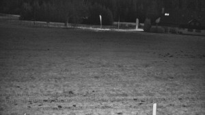 Rejvíz - Běžecké stopy - Rejvíz - Běžecké stopy - 7.12.2025 v 05:00 Rejvíz - Běžecké stopy - Rejvíz - Běžecké stopy - 7.12.2025 v 05:00