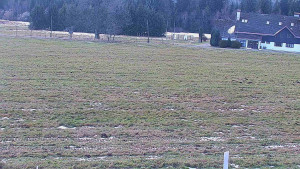 Rejvíz - Běžecké stopy - Rejvíz - Běžecké stopy - 7.12.2025 v 09:00 Rejvíz - Běžecké stopy - Rejvíz - Běžecké stopy - 7.12.2025 v 09:00