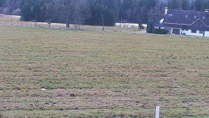 Rejvíz - Běžecké stopy - Rejvíz - Běžecké stopy - 7.12.2025 v 14:00 Rejvíz - Běžecké stopy - Rejvíz - Běžecké stopy - 7.12.2025 v 14:00