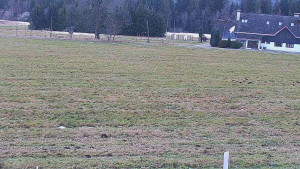 Rejvíz - Běžecké stopy - Rejvíz - Běžecké stopy - 7.12.2025 v 15:00 Rejvíz - Běžecké stopy - Rejvíz - Běžecké stopy - 7.12.2025 v 15:00