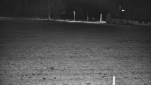 Rejvíz - Běžecké stopy - Rejvíz - Běžecké stopy - 7.12.2025 v 19:00 Rejvíz - Běžecké stopy - Rejvíz - Běžecké stopy - 7.12.2025 v 19:00