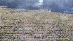 Rejvíz - Běžecké stopy