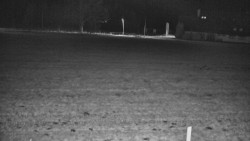 Rejvíz - Běžecké stopy