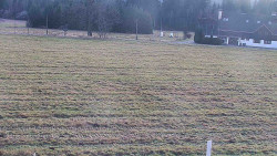 Rejvíz - Běžecké stopy